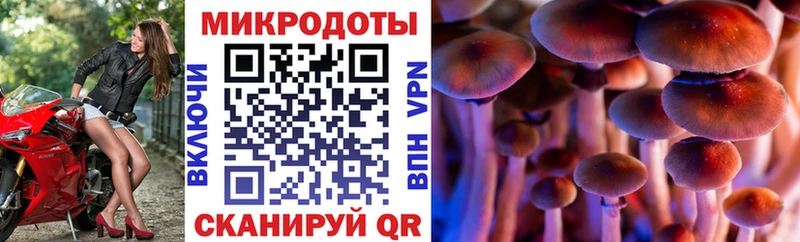Галлюциногенные грибы MAGIC MUSHROOMS  закладка  Суворов 